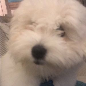 Meet your Posher, Stacy